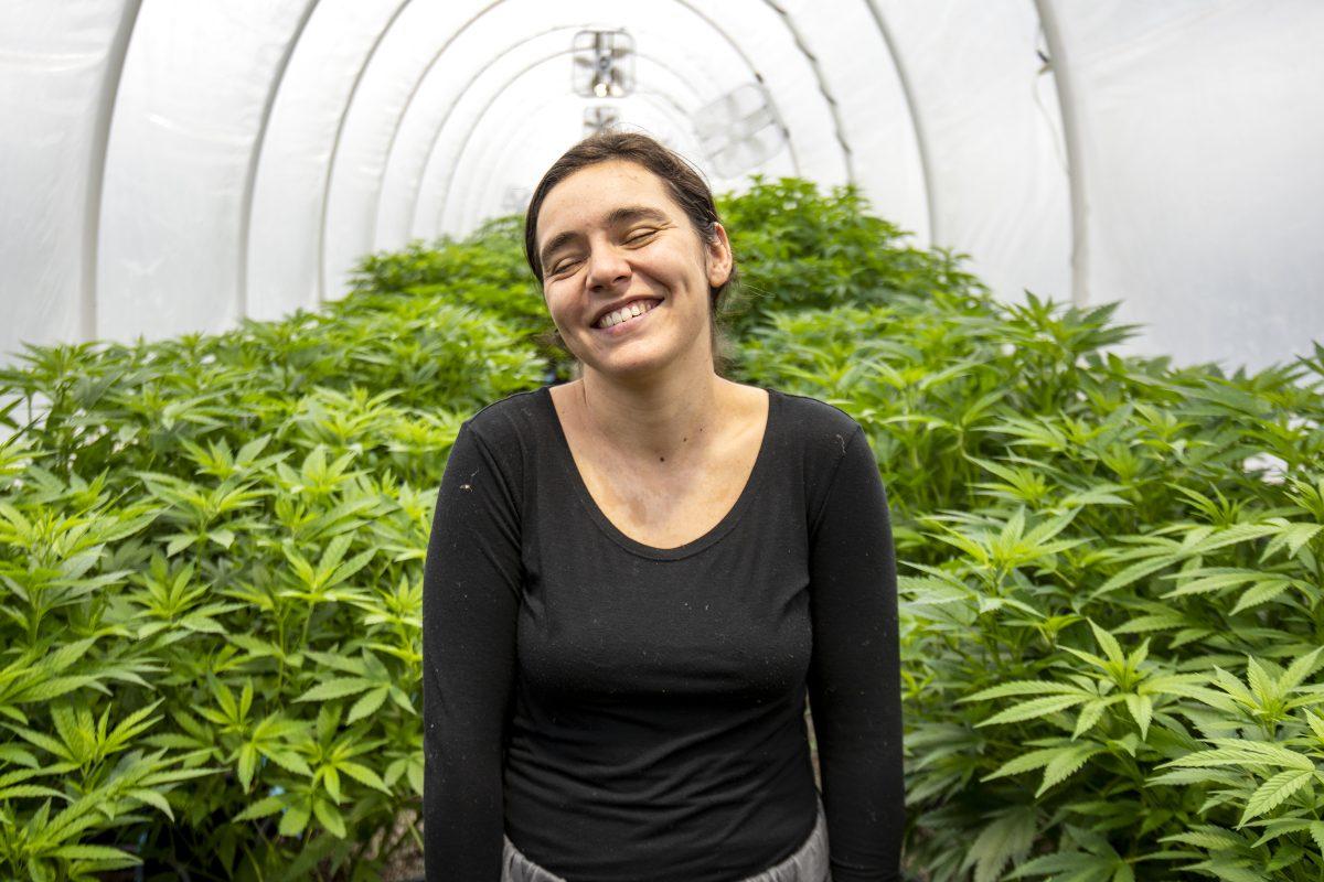 Karen Osovsky, the owner of Next Generation Nurseries, laughs while posing for a portrait surrounded by marijuana plants. Osovsky has been growing marijuana for seven years.&#160;Photograph by Eric Woodall