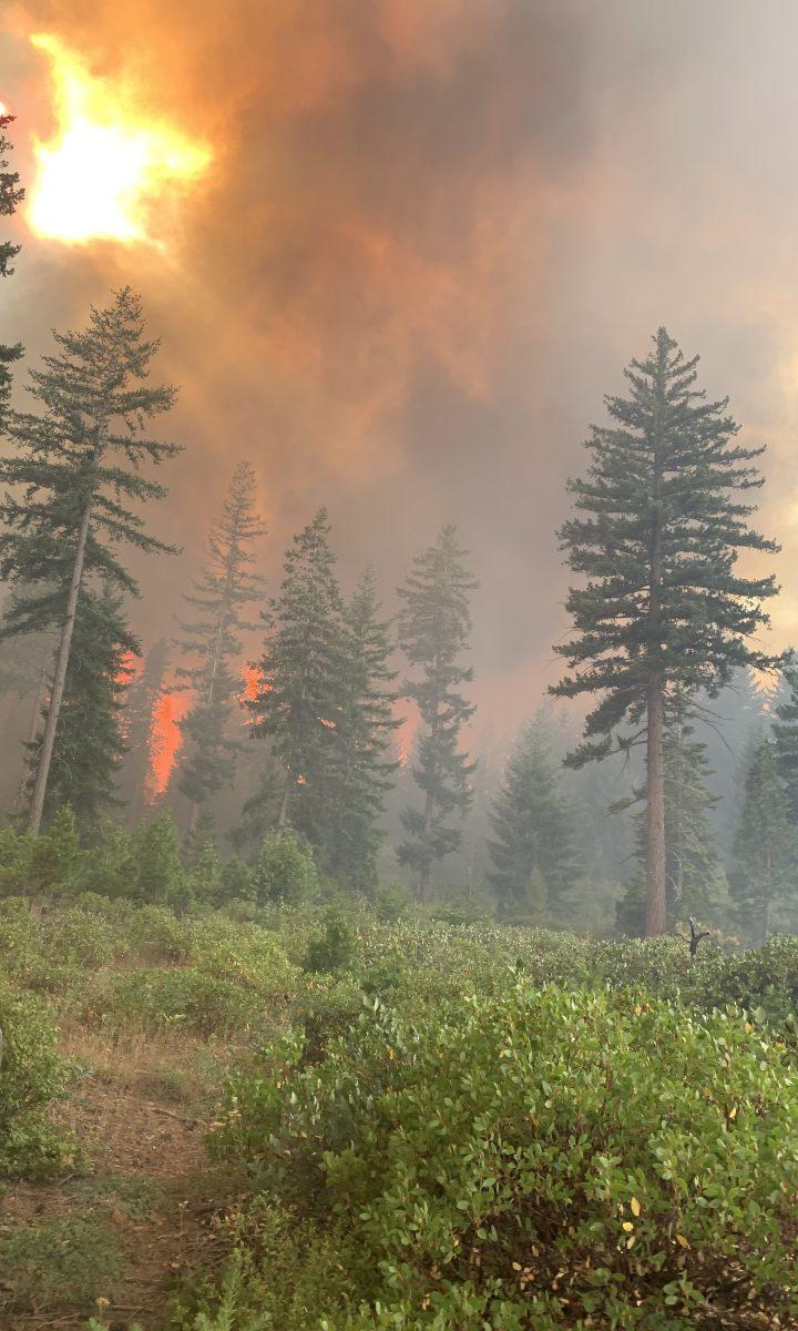 Smoke billows from the P-515 wildfire near the Warm Springs Reservation close to Madras, Ore. Wildfires in Oregon burned over 1 million acres of forest in 2020, causing over 40,000 people to evacuate their homes.&#160;