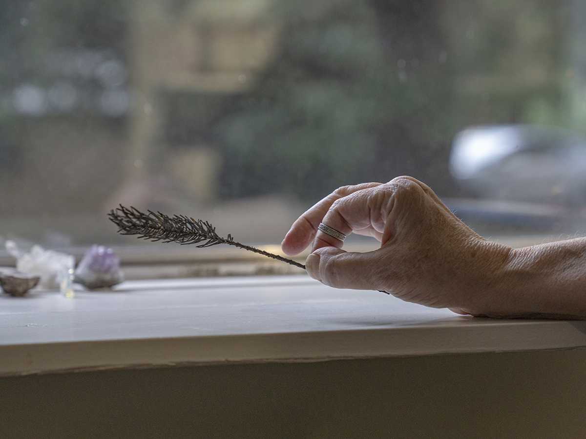 In her home office, a couple of minutes walk from the perimeter of the brush fire, Brooks picks up a small piece of fir tree. She found the twig leaning against her home when she returned after evacuating the Holiday Farm fire in September 2020. &#8220;It&#8217;s symbolic to me,&#8221; Brooks says. &#8220;Something that small could light up the house.&#8221; (Photo and caption courtesy of Eden McCall).