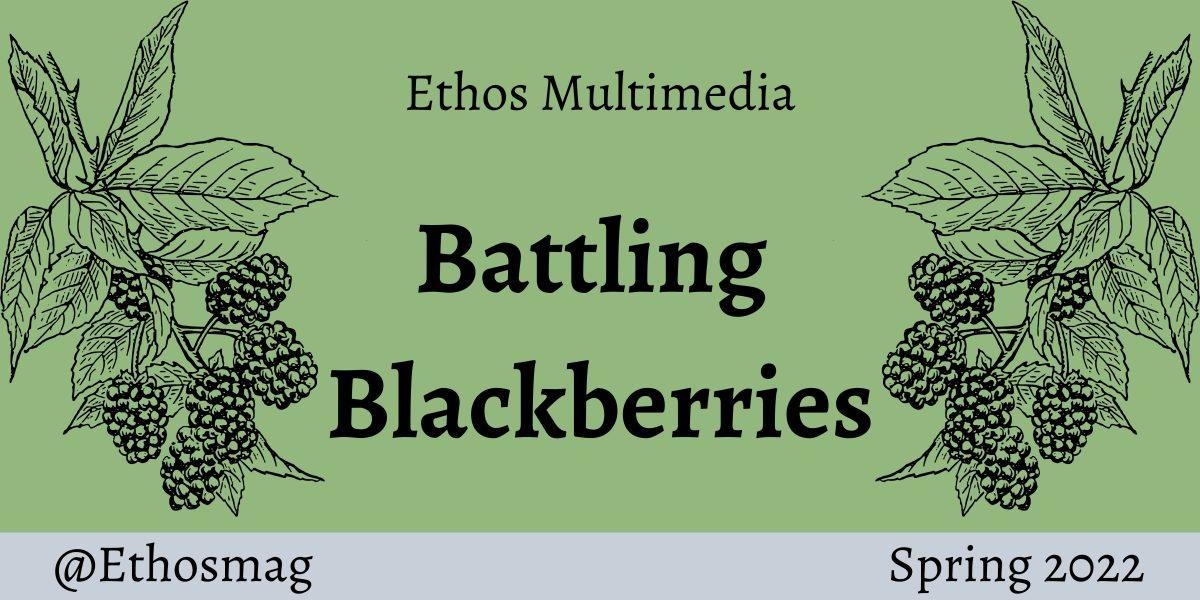 BattlingBlackberries_FinalCover